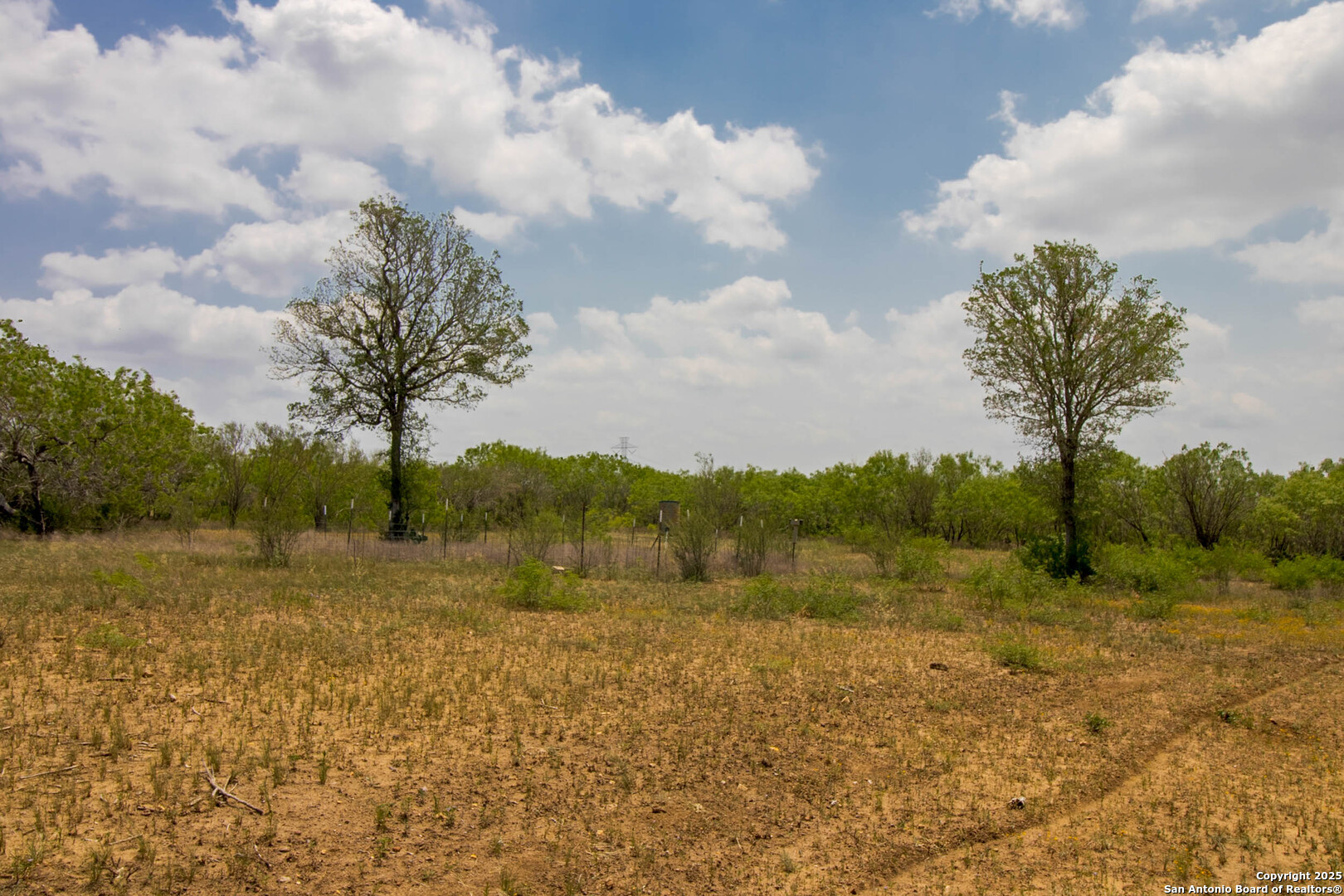 1591 County Road 476 , Stockdale, TX, 78160 | 1869023 | Realty Texas LLC