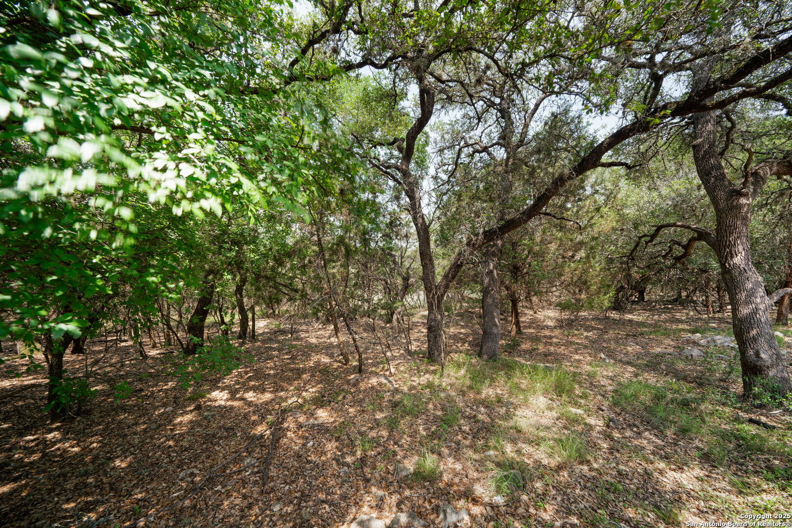 18207 Dogwood Path , San Antonio, TX, 78259 | 1868999 | Realty Texas LLC