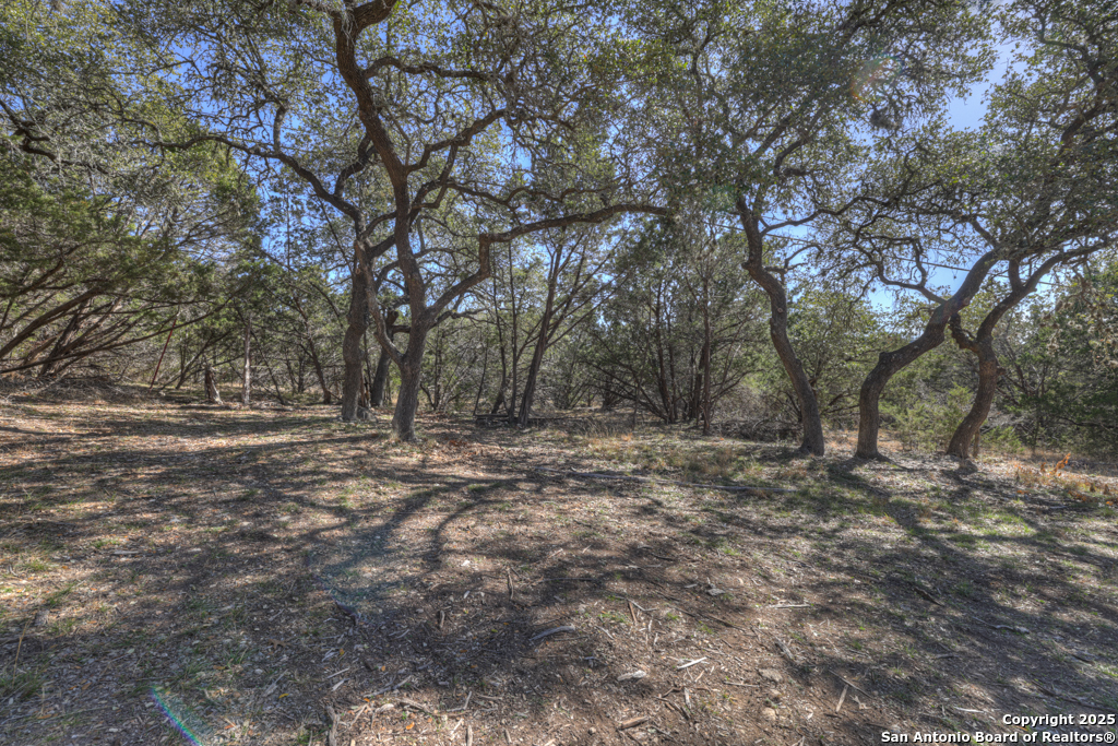 995 Five Oaks , Canyon Lake, TX, 78133 | 1869631 | Realty Texas LLC