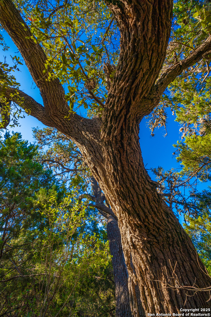 000 Little Dry Frio Rd Lot 4 , Leakey, TX, 78873 | 1869790 | Realty Texas LLC