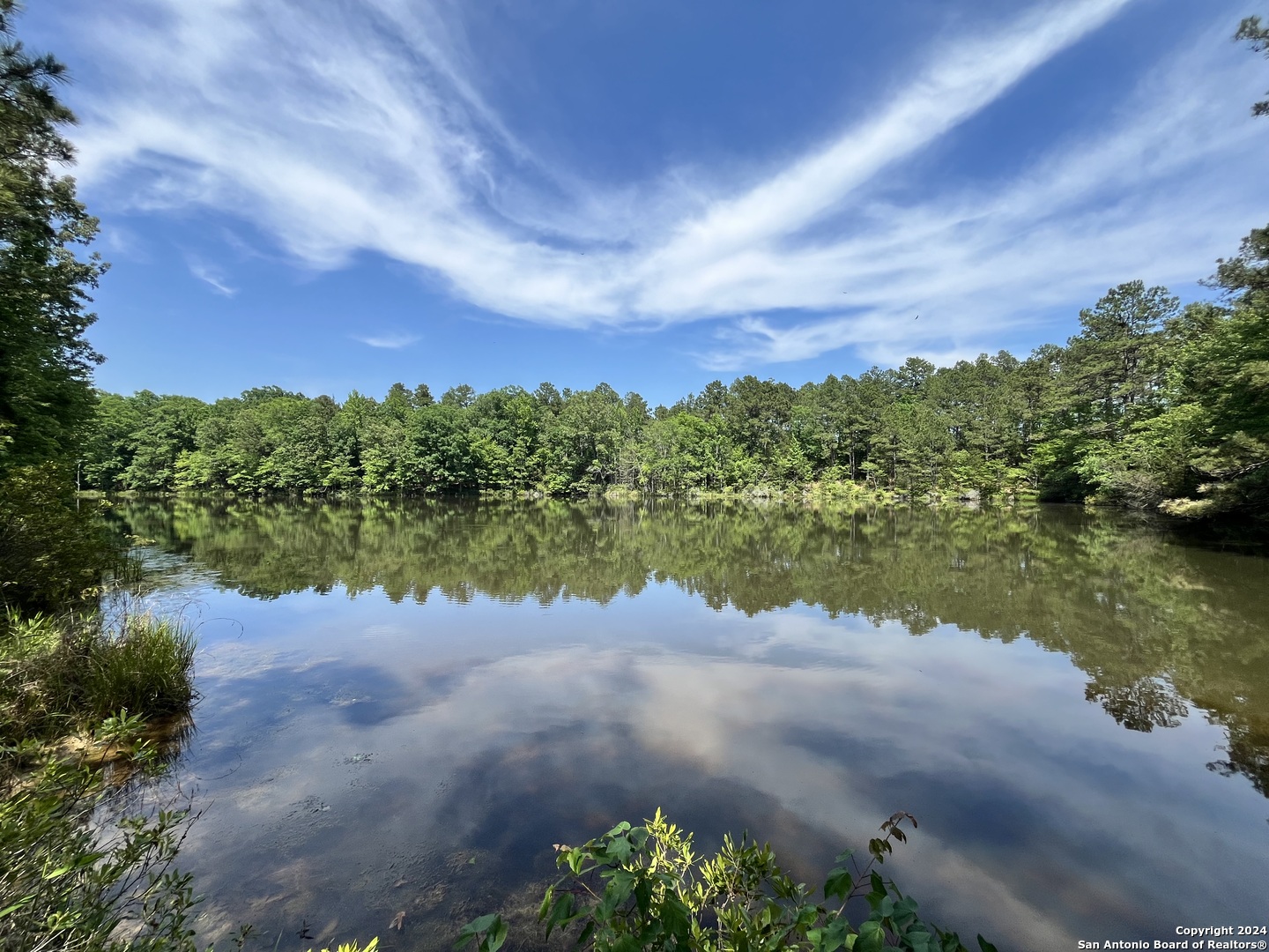 521 County Road 1759 , , TX, 75563 | 1872233 | Realty Texas LLC