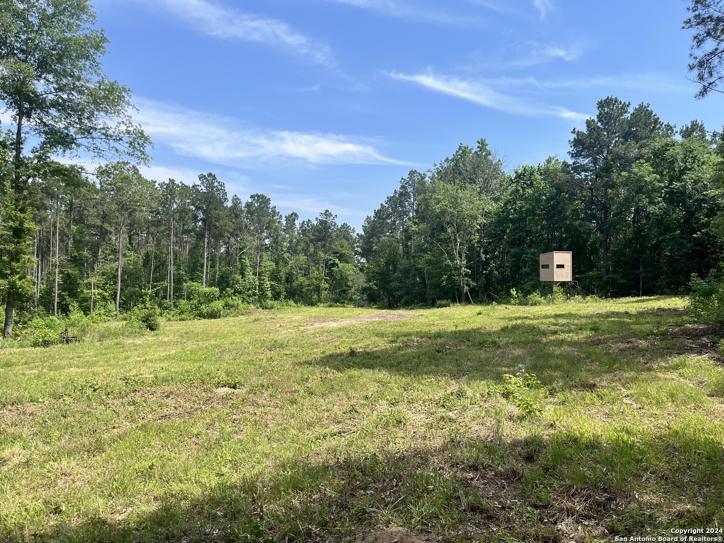 521 County Road 1759 , , TX, 75563 | 1872233 | Realty Texas LLC
