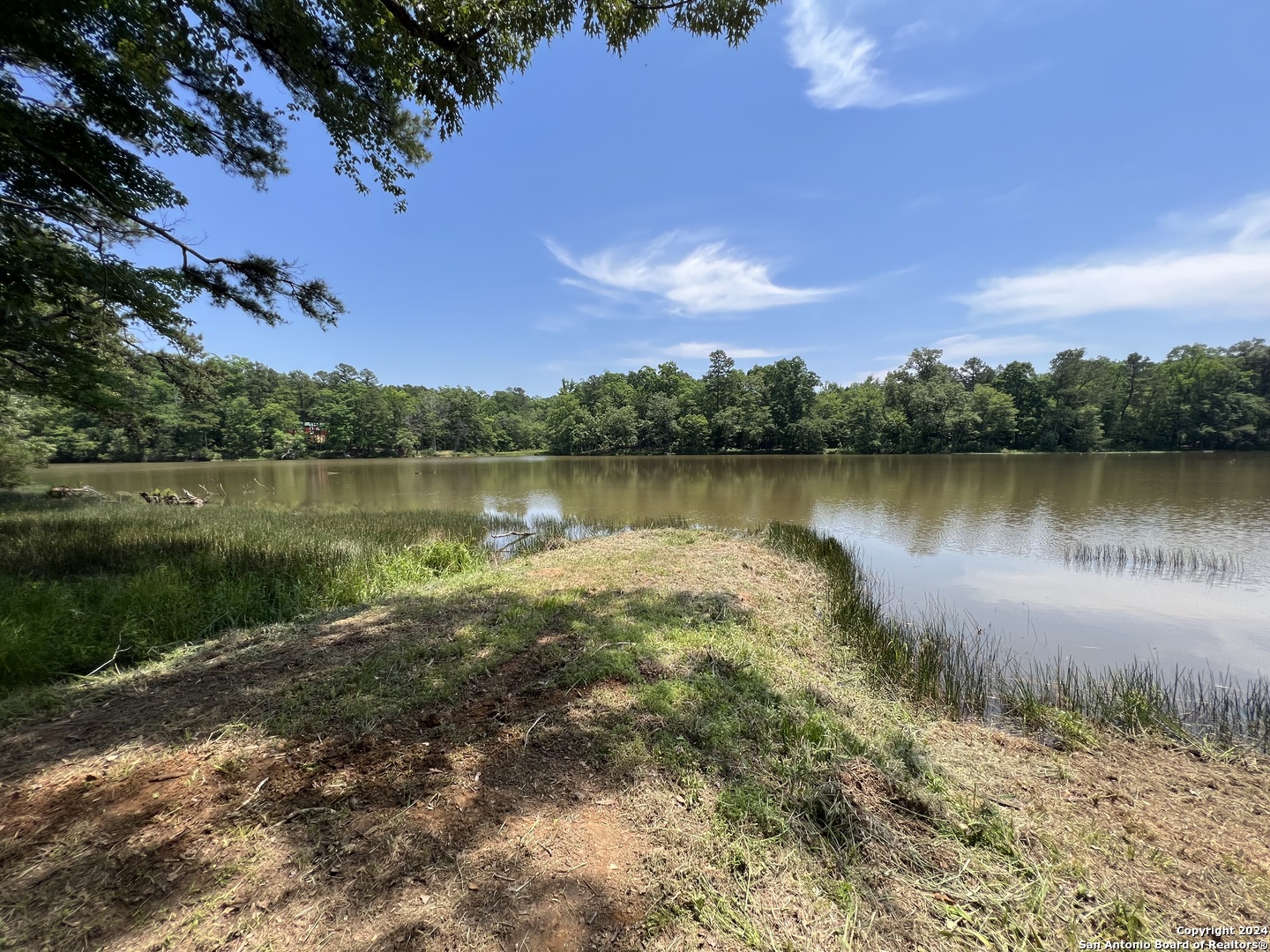 521 County Road 1759 , , TX, 75563 | 1872233 | Realty Texas LLC