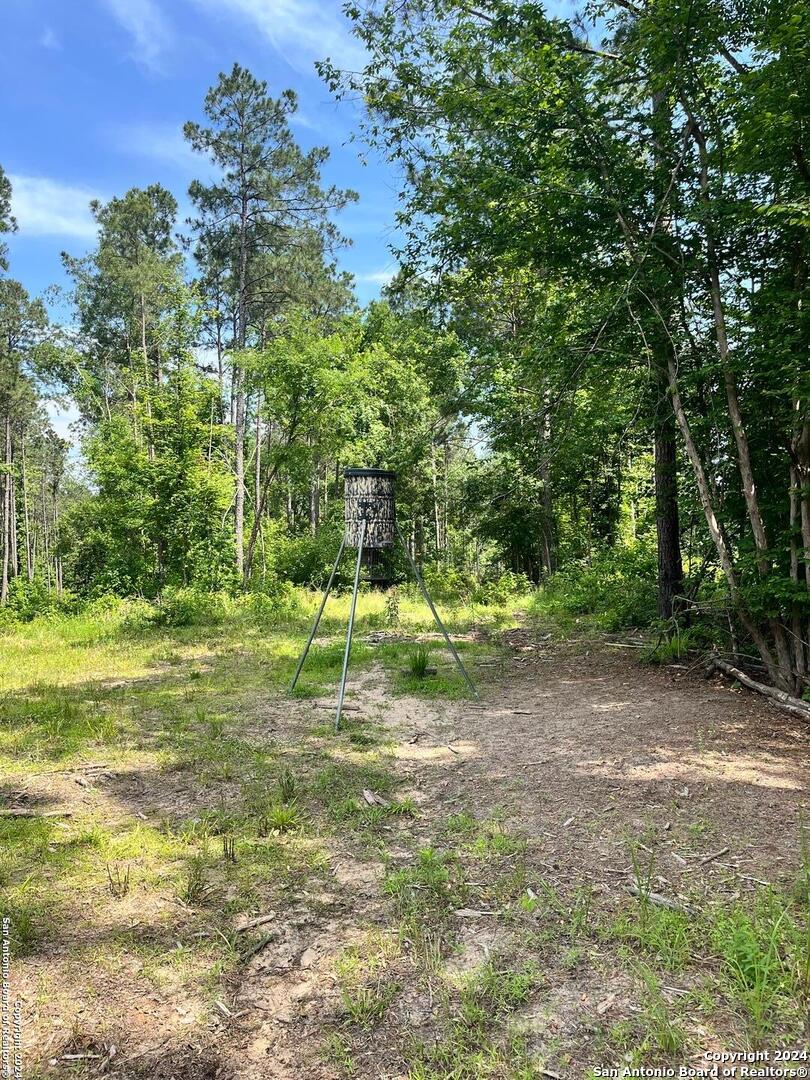 521 County Road 1759 , , TX, 75563 | 1872233 | Realty Texas LLC