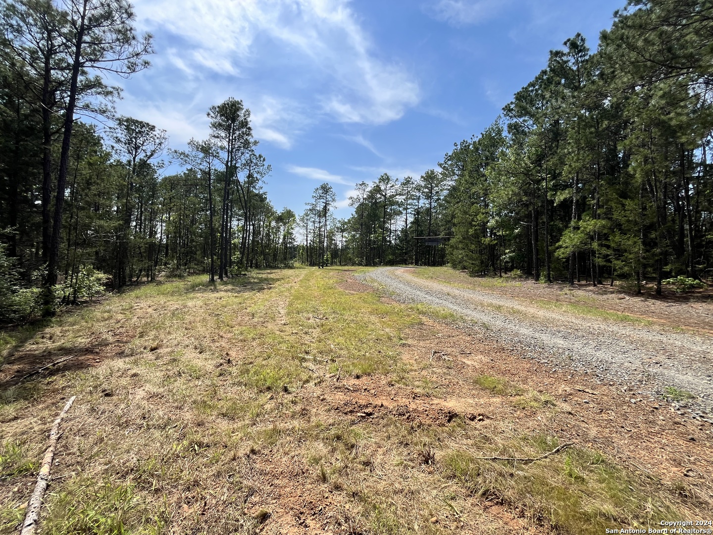 521 County Road 1759 , , TX, 75563 | 1872233 | Realty Texas LLC