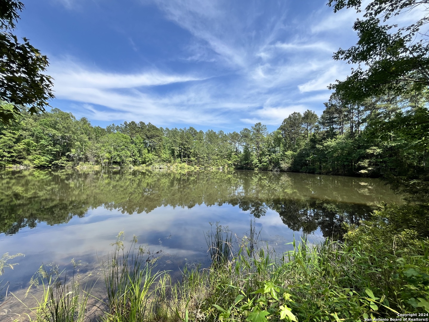 521 County Road 1759 , , TX, 75563 | 1872233 | Realty Texas LLC