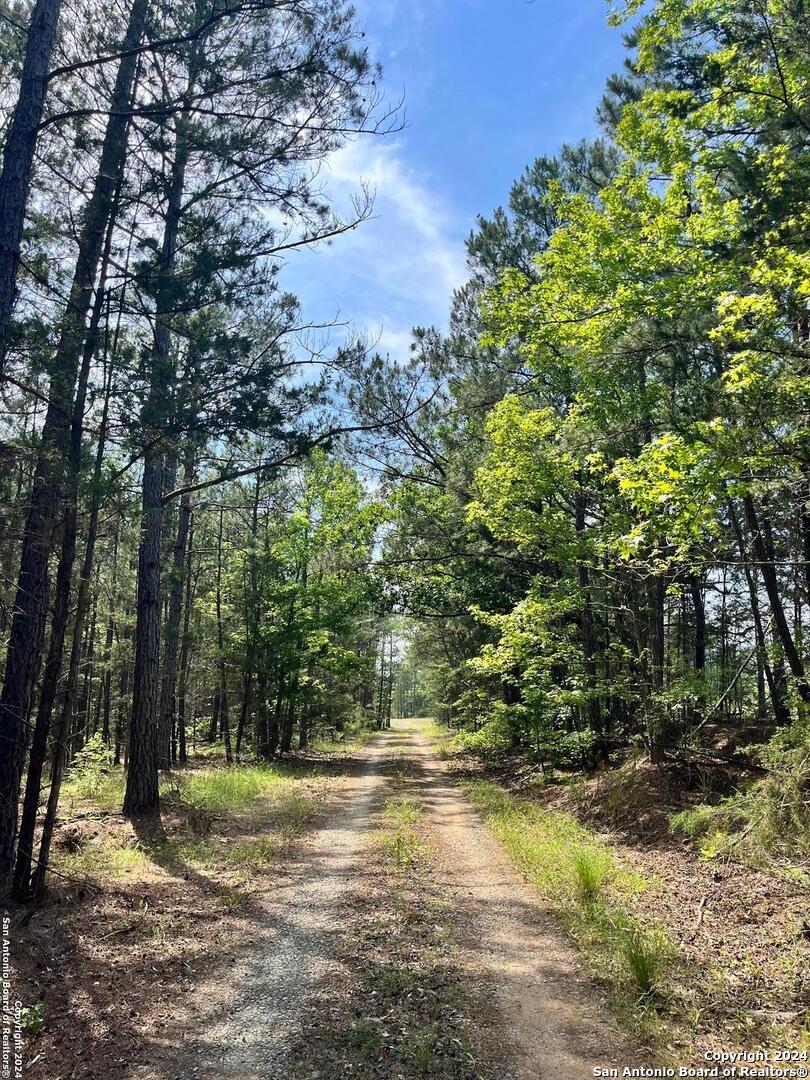 521 County Road 1759 , , TX, 75563 | 1872233 | Realty Texas LLC