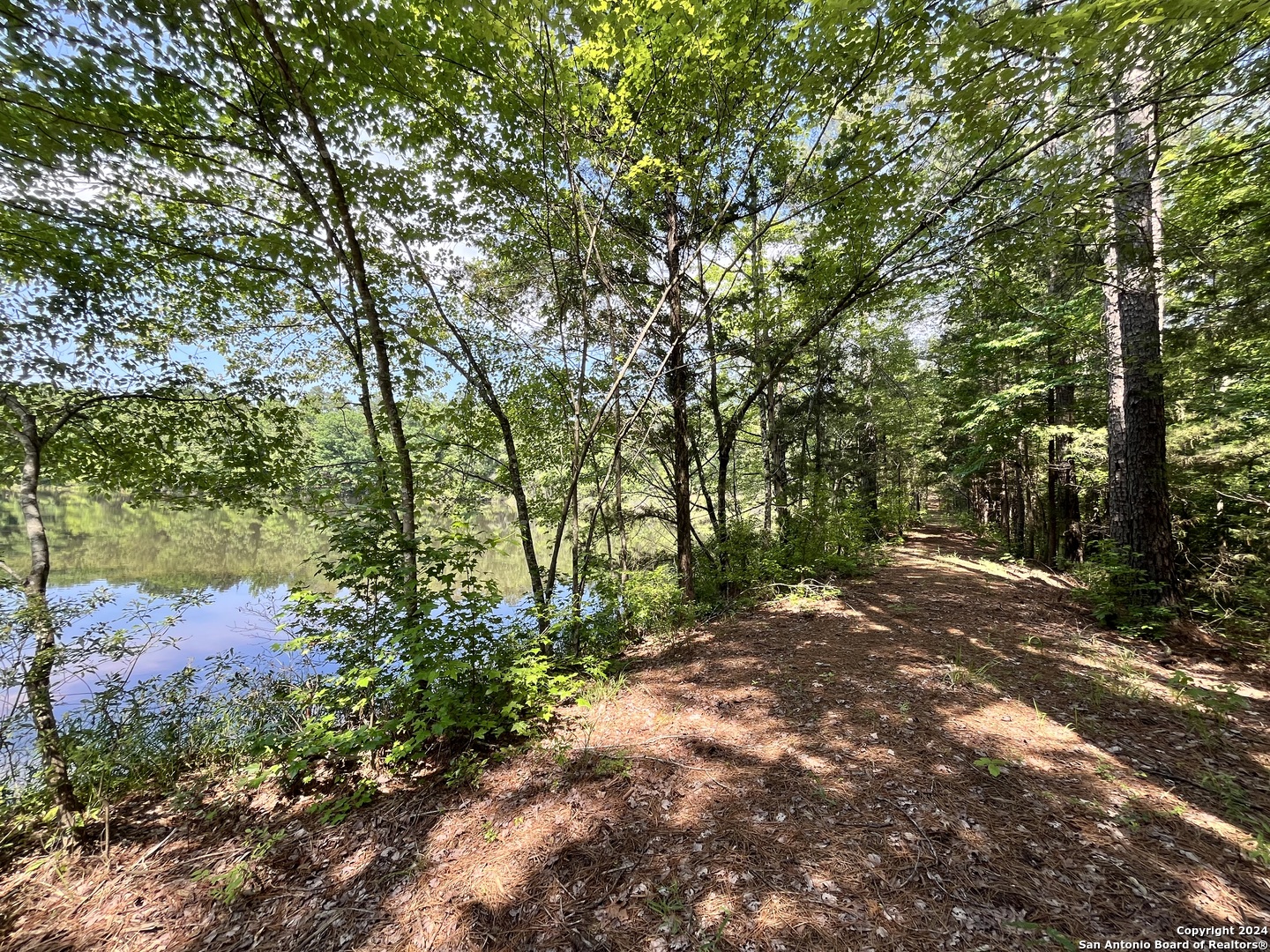 521 County Road 1759 , , TX, 75563 | 1872233 | Realty Texas LLC