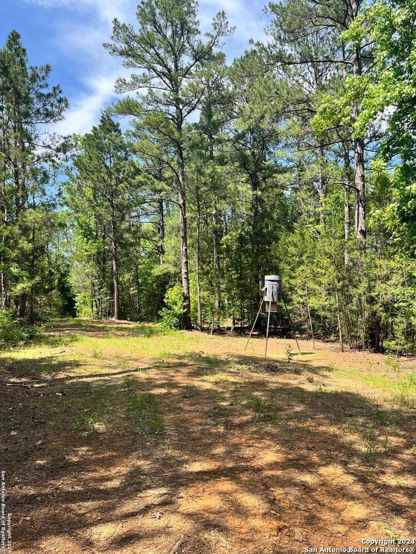 521 County Road 1759 , , TX, 75563 | 1872233 | Realty Texas LLC