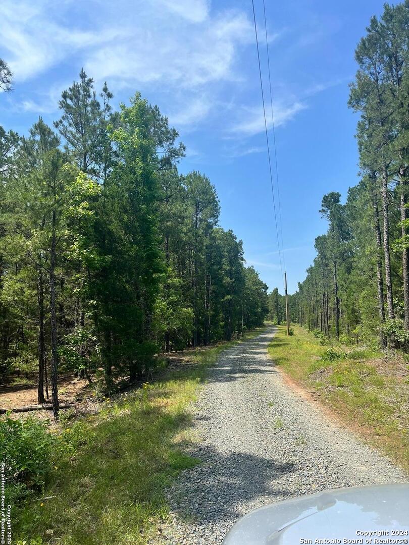 521 County Road 1759 , , TX, 75563 | 1872233 | Realty Texas LLC