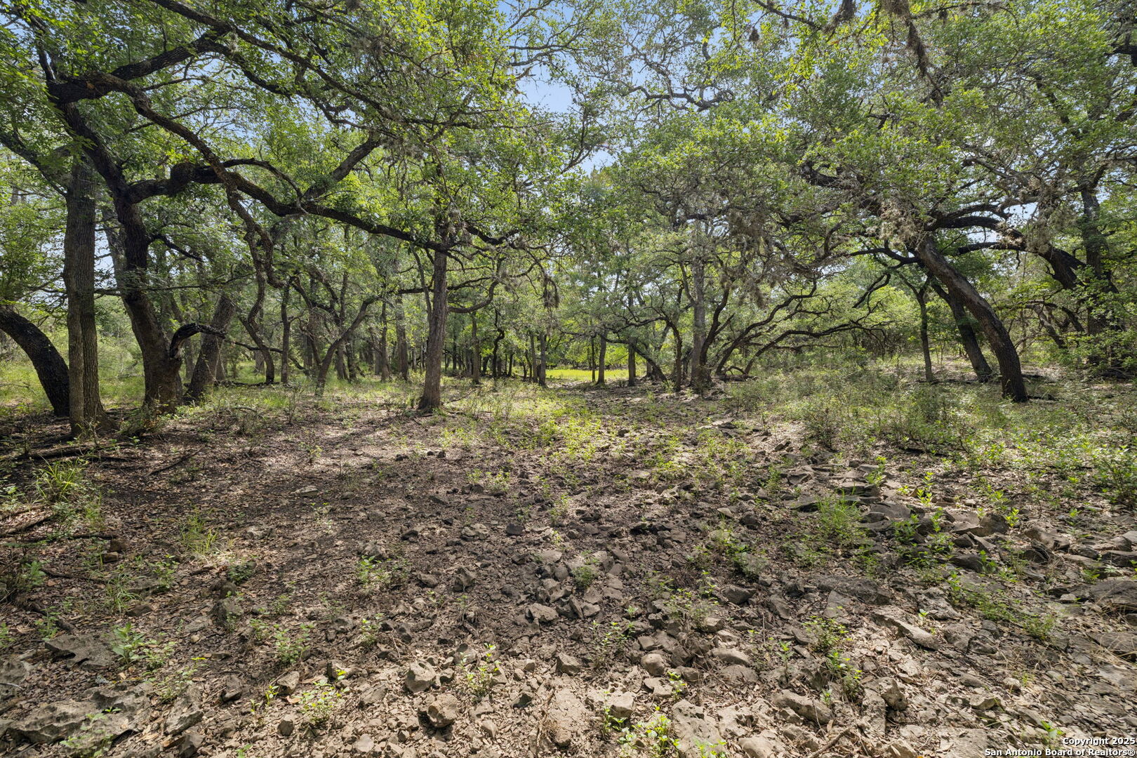 547 County Road 3401, Hondo, TX, 78861 | 1874841 | Realty Texas LLC
