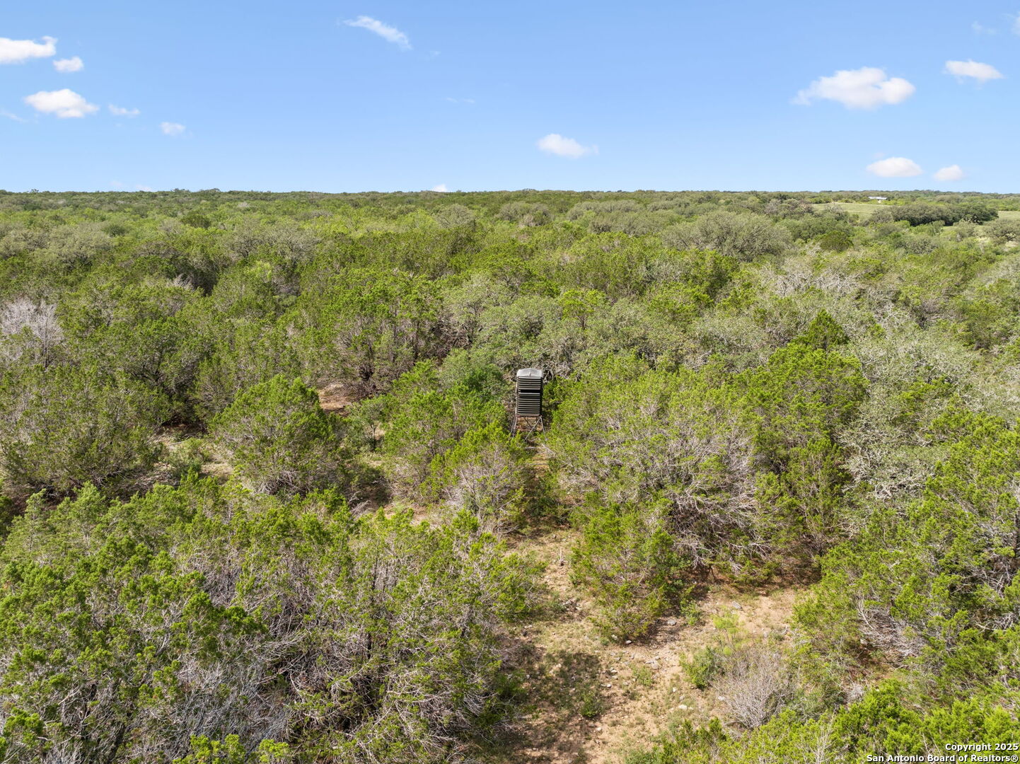 547 County Road 3401, Hondo, TX, 78861 | 1874841 | Realty Texas LLC