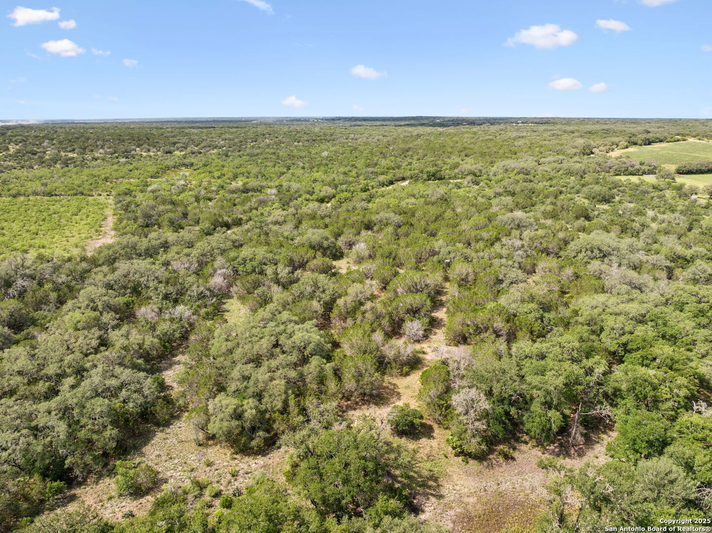 547 County Road 3401, Hondo, TX, 78861 | 1874841 | Realty Texas LLC