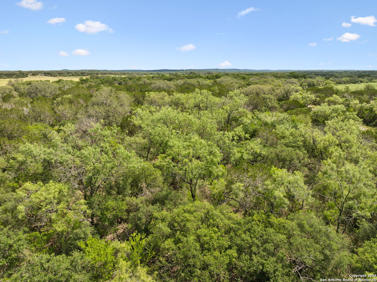 547 County Road 3401, Hondo, TX, 78861 | 1874841 | Realty Texas LLC