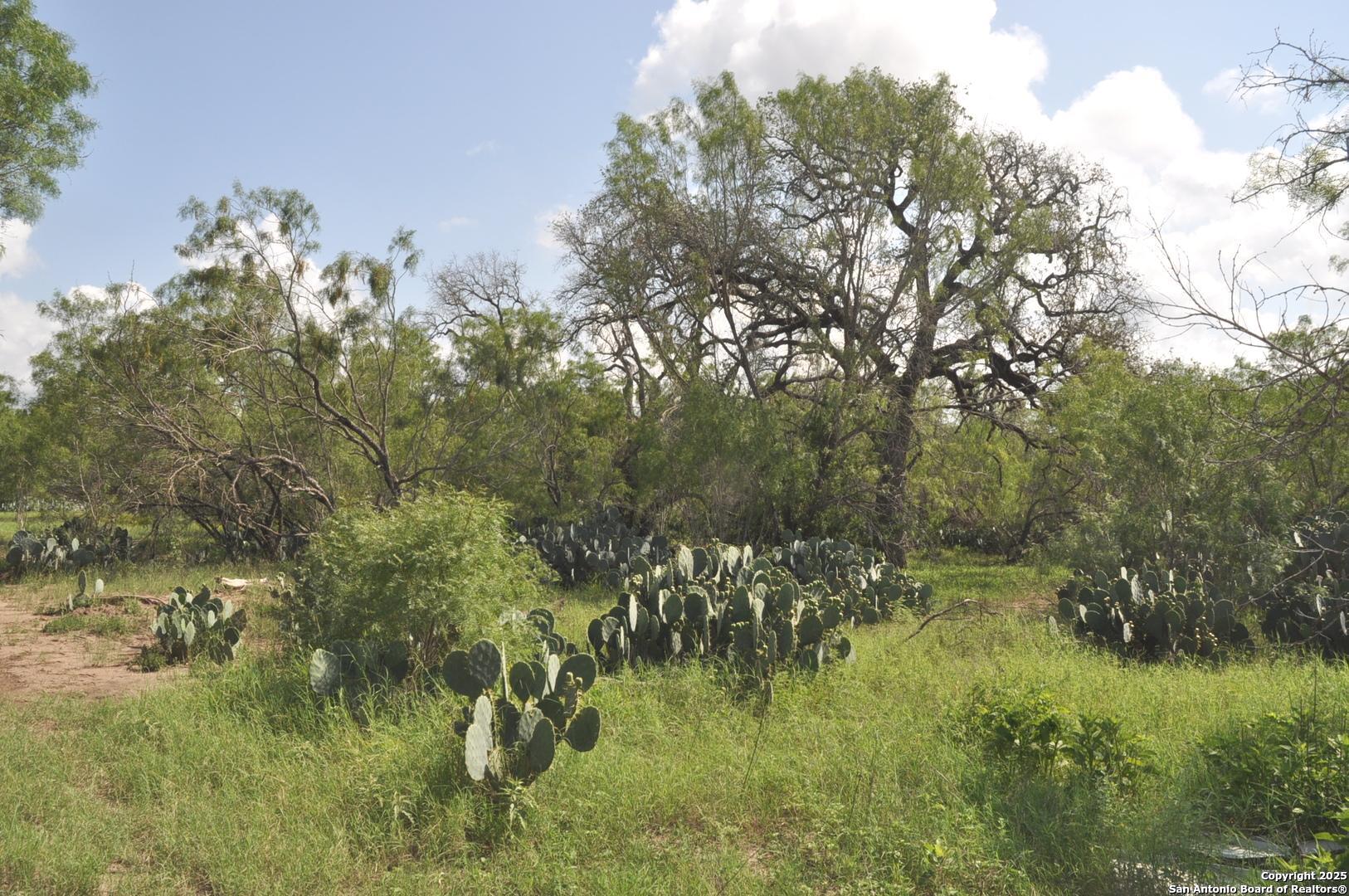 TBD CR 662, Devine, TX, 78016 | 1874344 | Realty Texas LLC
