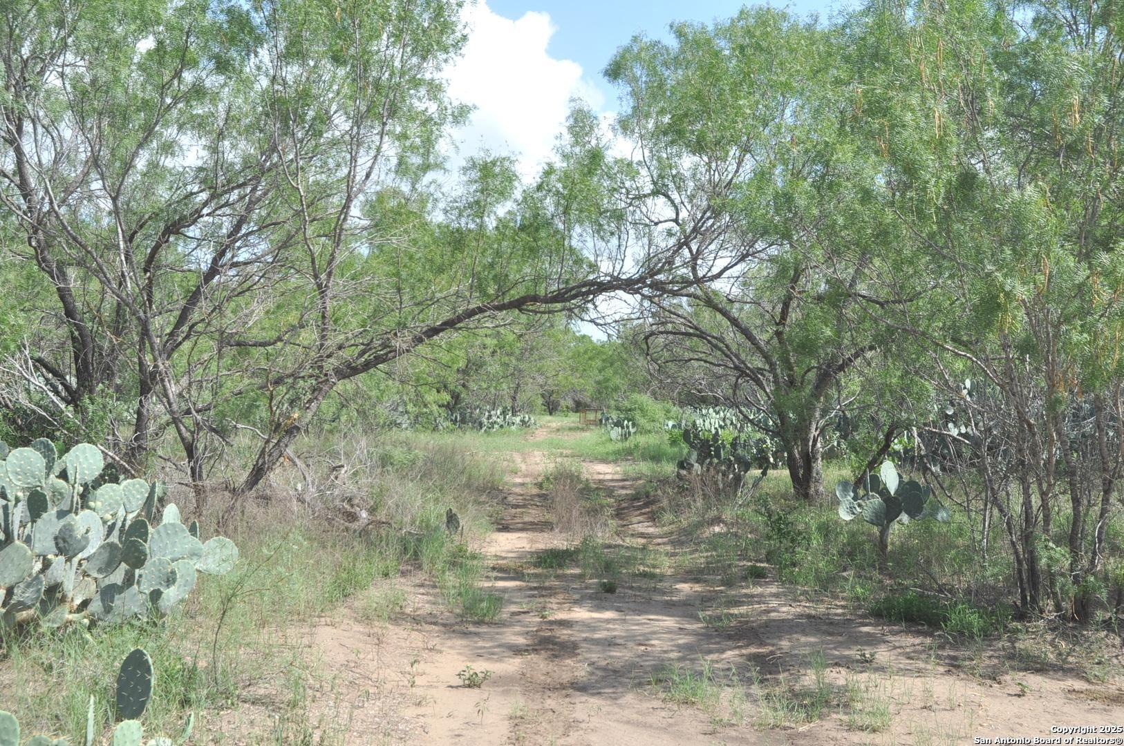 TBD CR 662, Devine, TX, 78016 | 1874344 | Realty Texas LLC