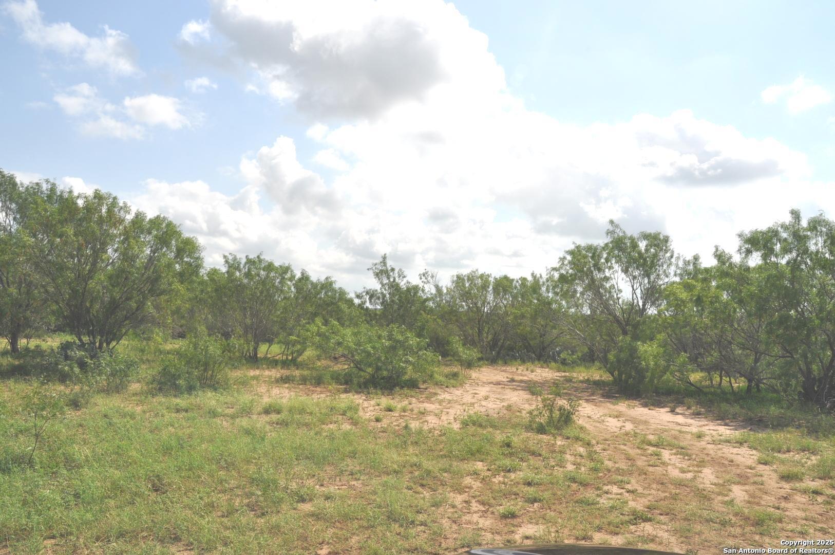 TBD CR 662, Devine, TX, 78016 | 1874344 | Realty Texas LLC
