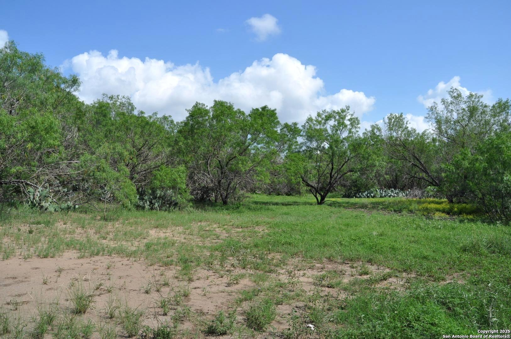 TBD CR 662, Devine, TX, 78016 | 1874344 | Realty Texas LLC