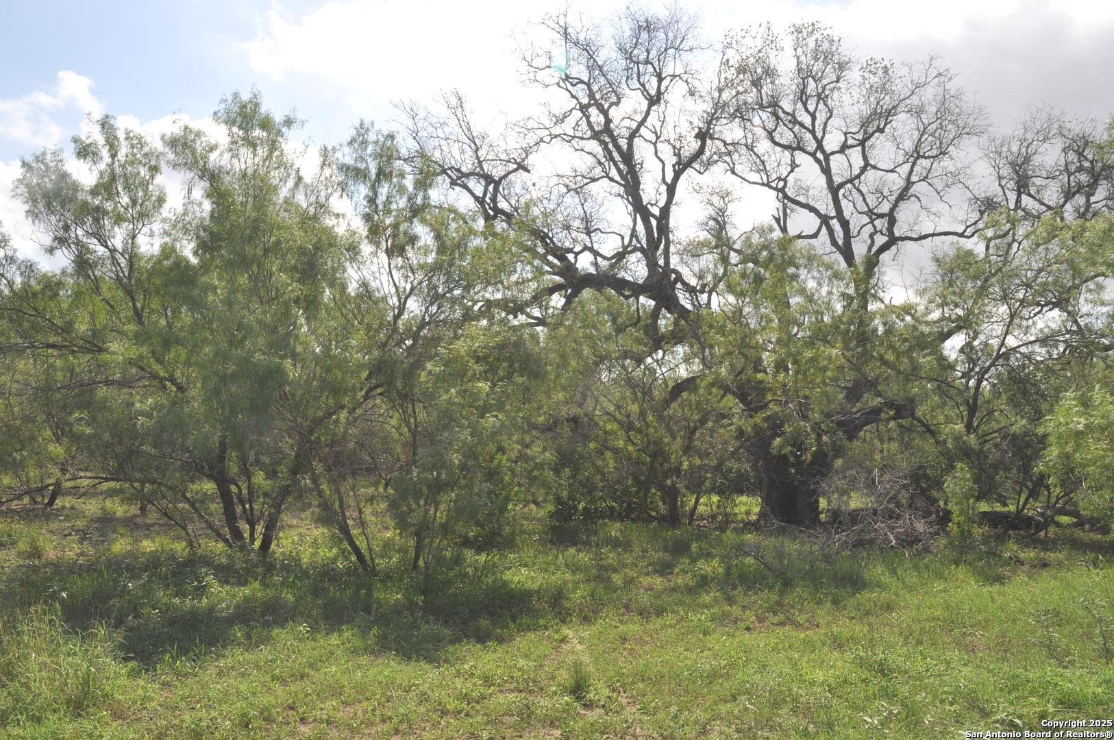 TBD CR 662, Devine, TX, 78016 | 1874344 | Realty Texas LLC