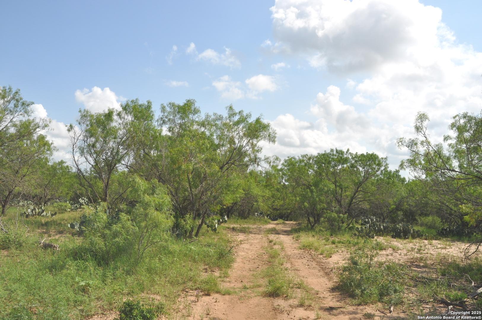 TBD CR 662, Devine, TX, 78016 | 1874344 | Realty Texas LLC