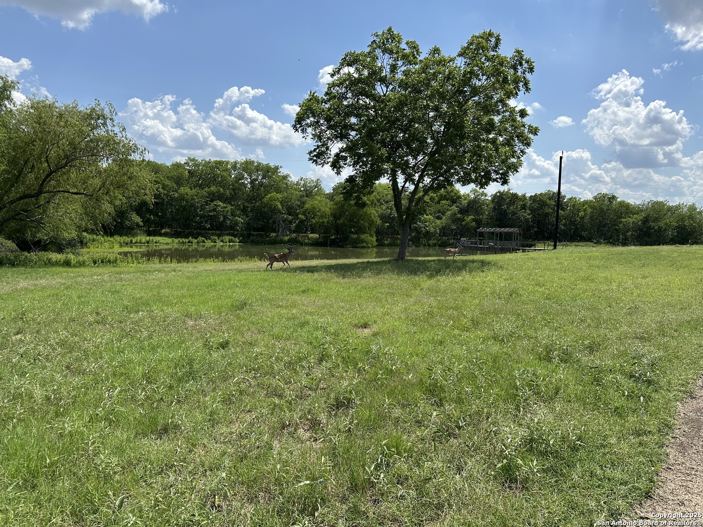 10745 ROSEMAR LN, Adkins, TX, 78101 | 1875105 | Realty Texas LLC