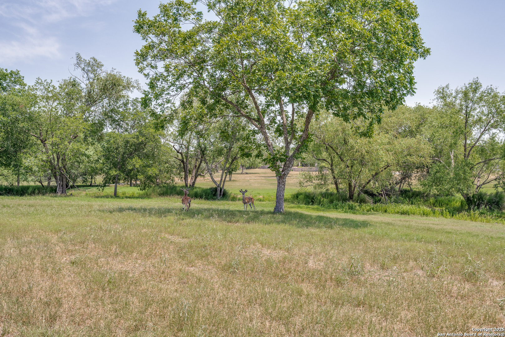 10745 ROSEMAR LN, Adkins, TX, 78101 | 1875105 | Realty Texas LLC
