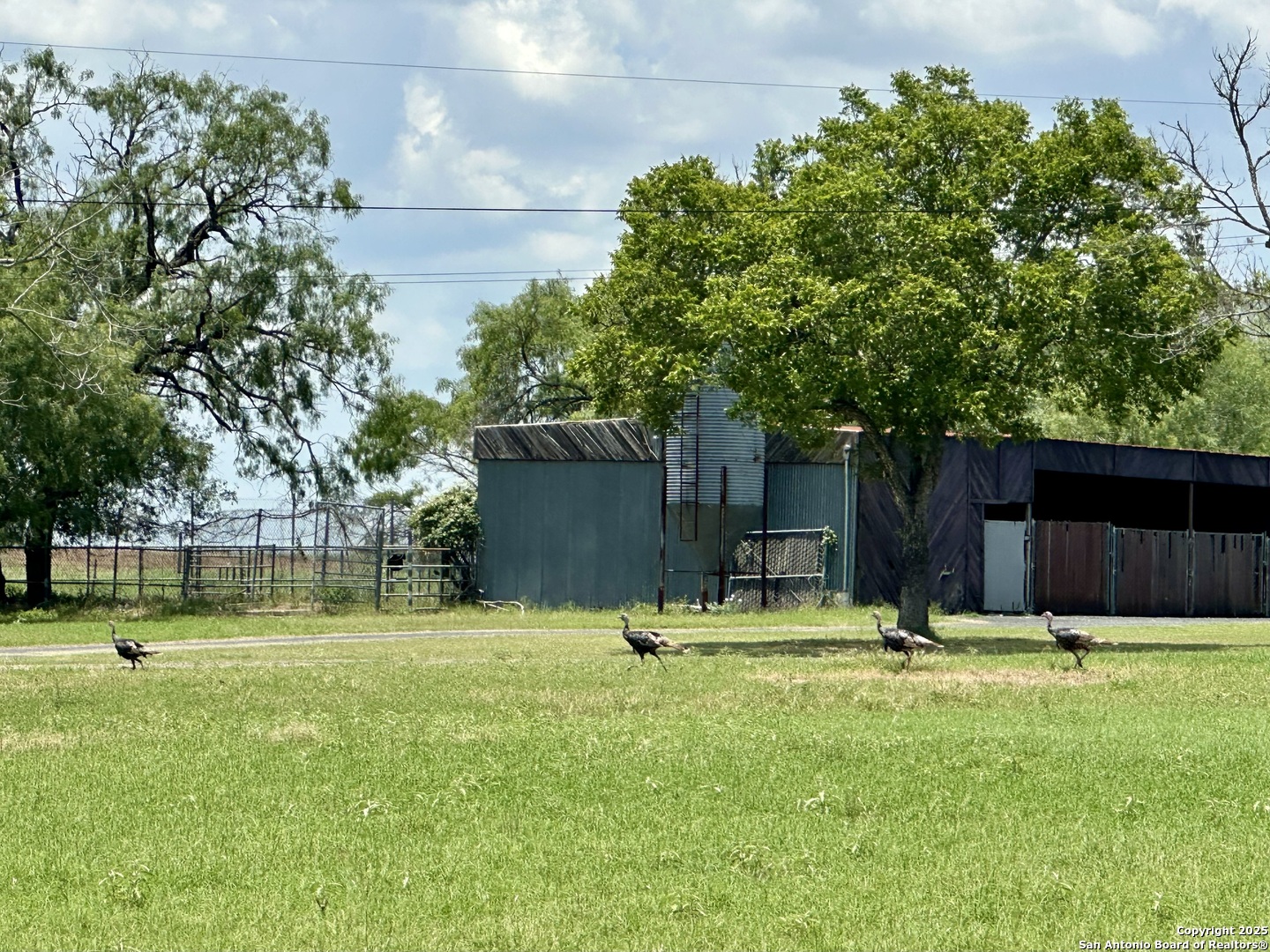 10745 ROSEMAR LN, Adkins, TX, 78101 | 1875105 | Realty Texas LLC