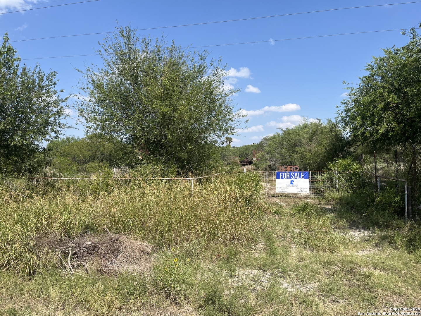 TBD HWY 59, Freer, TX, 78357 | 1874572 | Realty Texas LLC