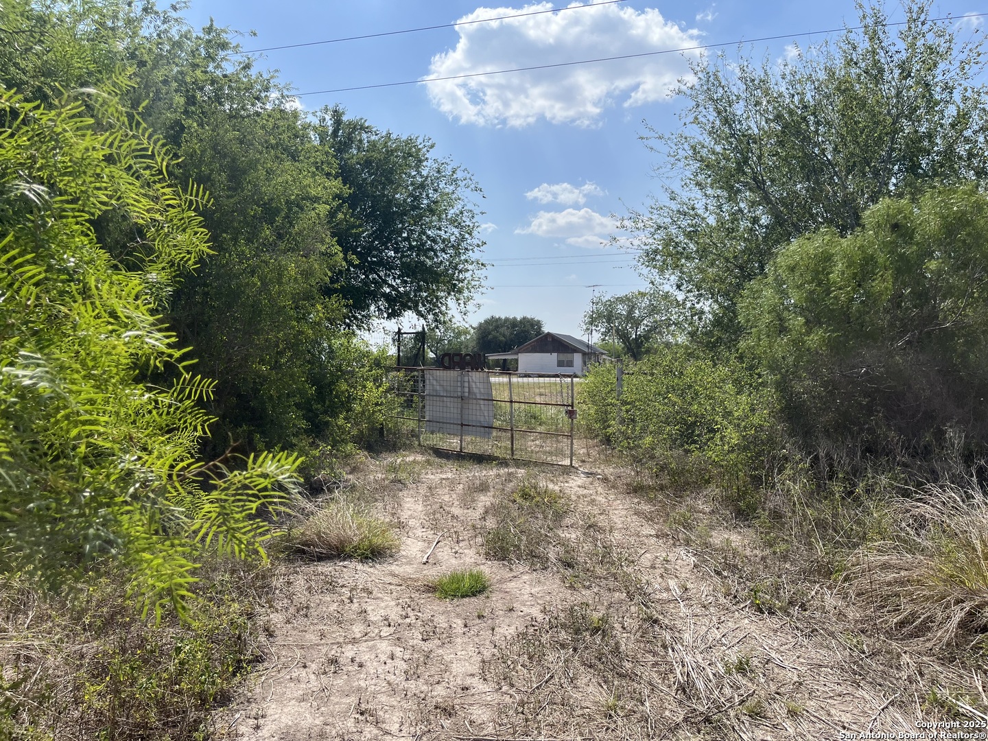 TBD HWY 59, Freer, TX, 78357 | 1874572 | Realty Texas LLC