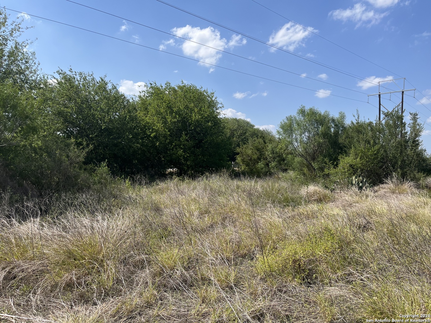 TBD HWY 59, Freer, TX, 78357 | 1874572 | Realty Texas LLC