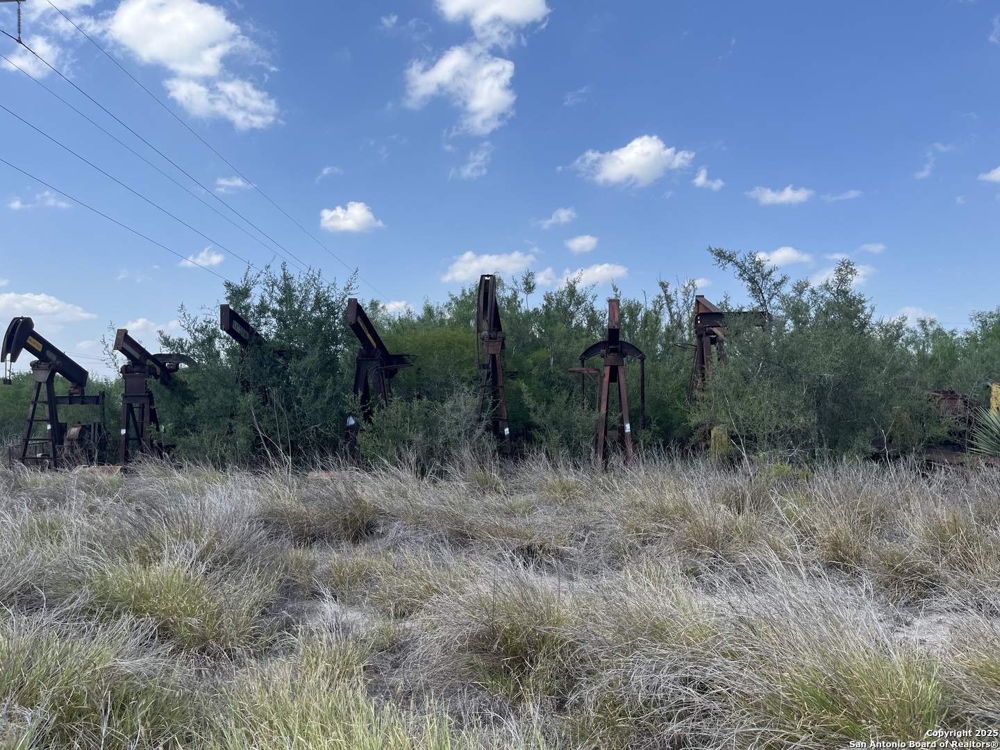 TBD HWY 59, Freer, TX, 78357 | 1874572 | Realty Texas LLC