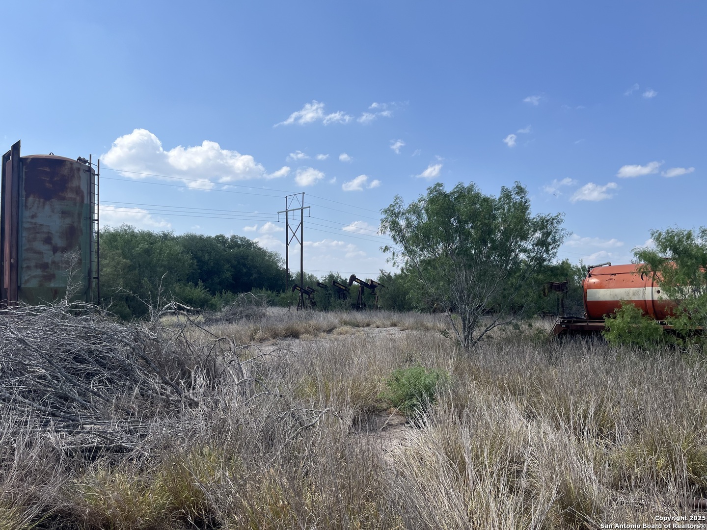 TBD HWY 59, Freer, TX, 78357 | 1874572 | Realty Texas LLC