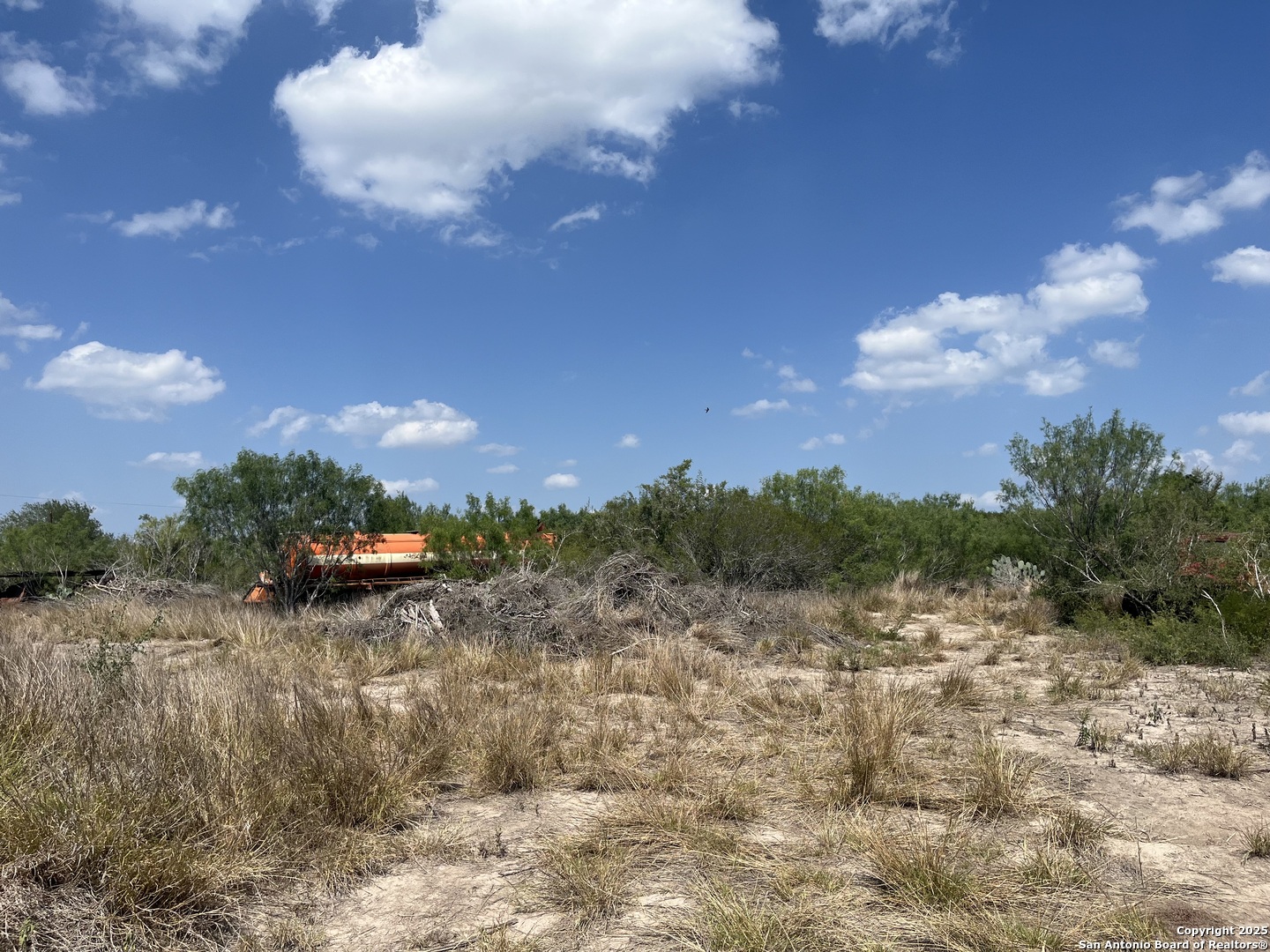TBD HWY 59, Freer, TX, 78357 | 1874572 | Realty Texas LLC