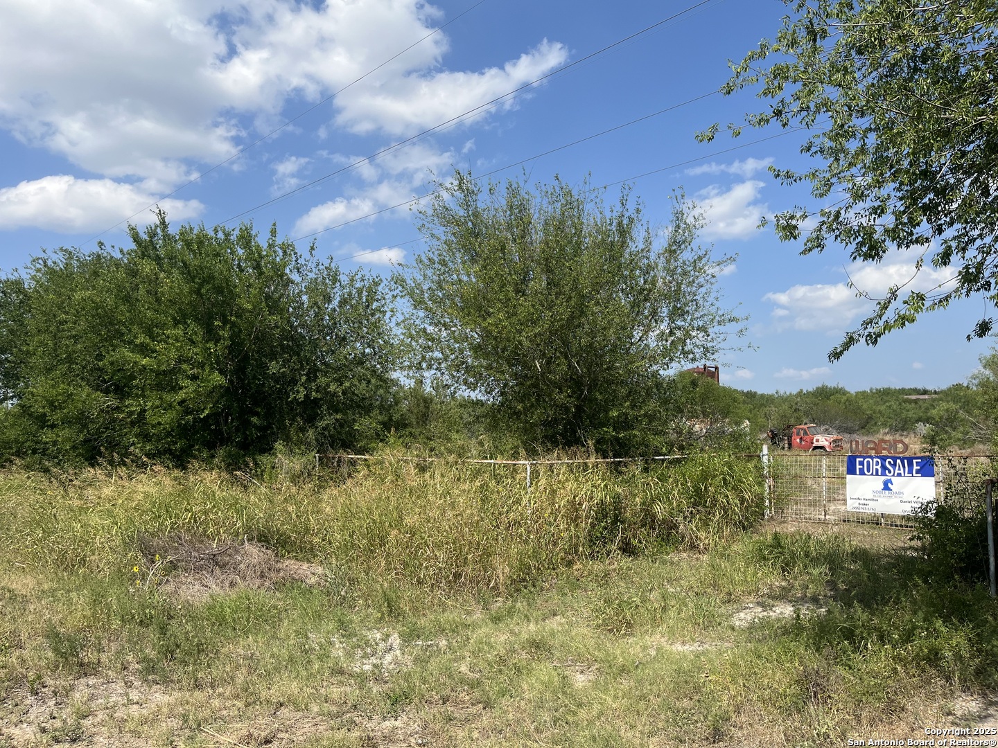 TBD HWY 59, Freer, TX, 78357 | 1874572 | Realty Texas LLC