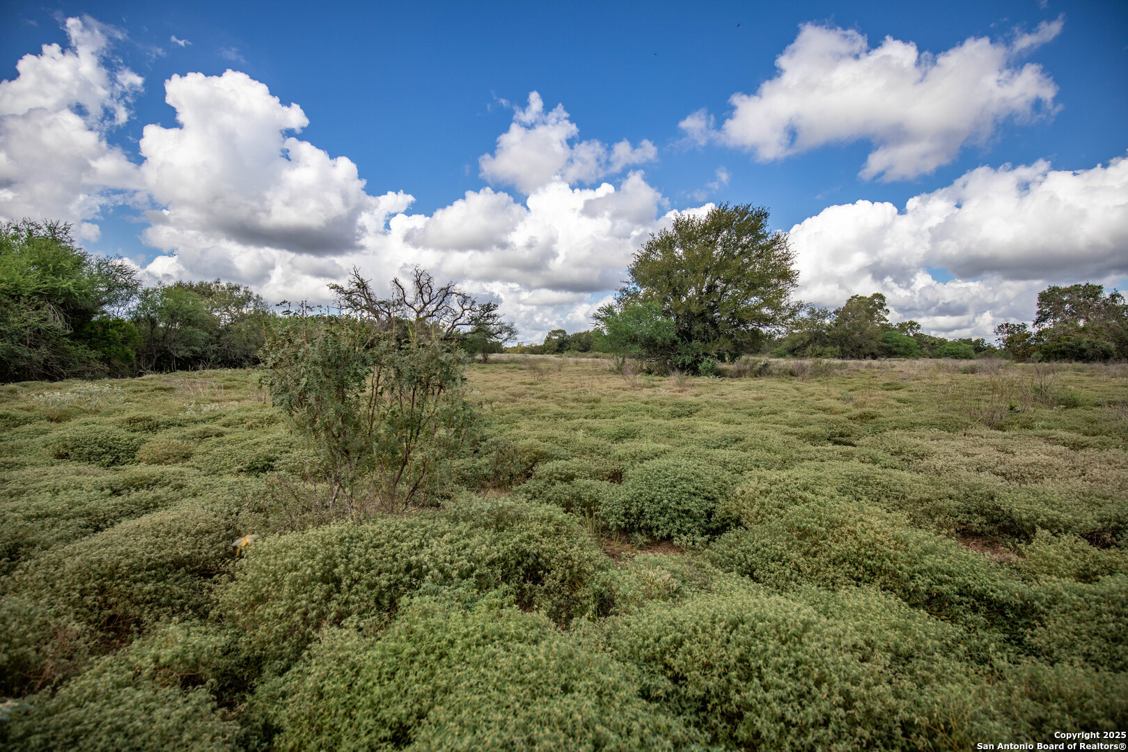 000 Fm 766, Cuero, TX, 77954 | 1874979 | Realty Texas LLC