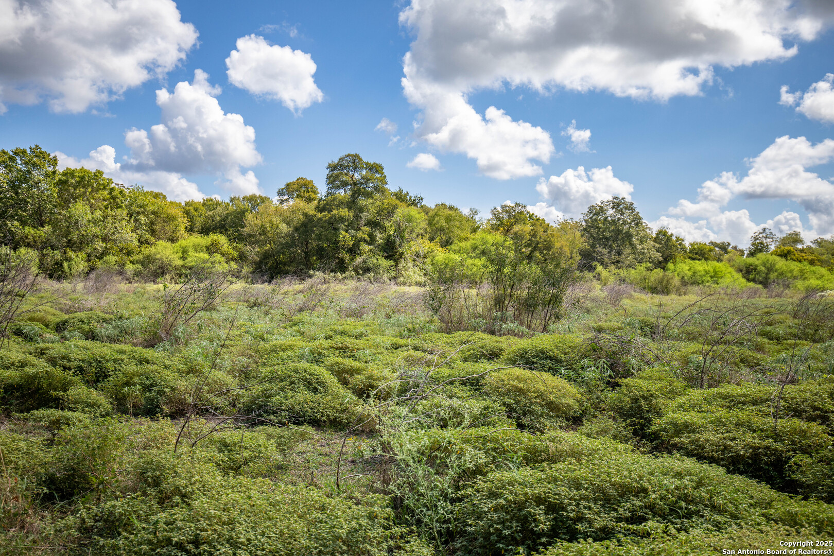 000 Fm 766, Cuero, TX, 77954 | 1874979 | Realty Texas LLC