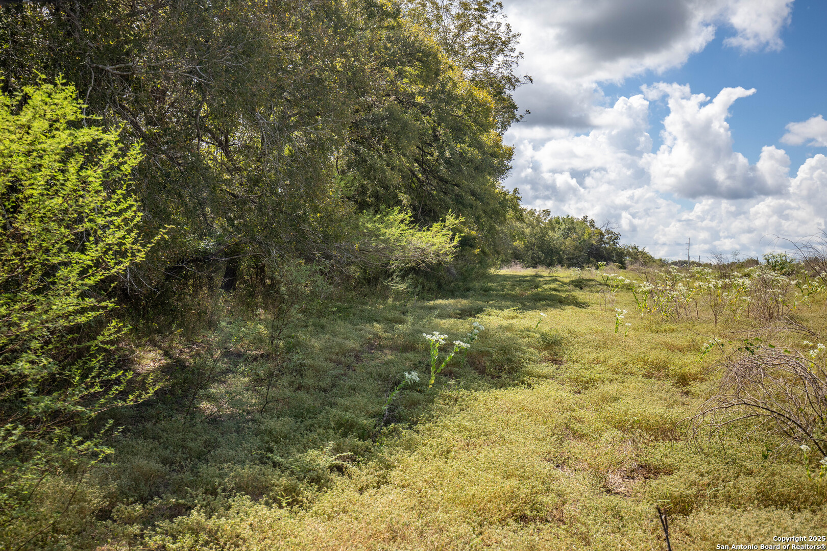 000 Fm 766, Cuero, TX, 77954 | 1874979 | Realty Texas LLC
