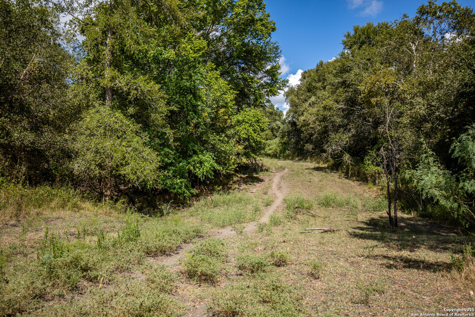 000 Fm 766, Cuero, TX, 77954 | 1874979 | Realty Texas LLC
