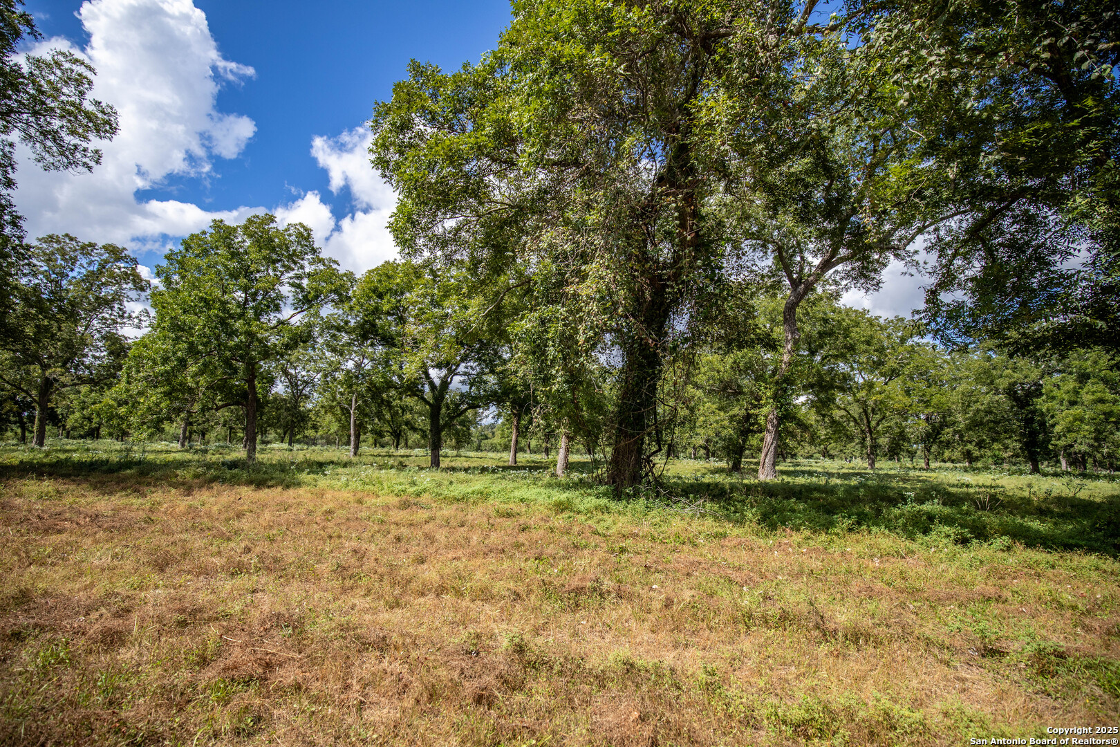 000 Fm 766, Cuero, TX, 77954 | 1874979 | Realty Texas LLC