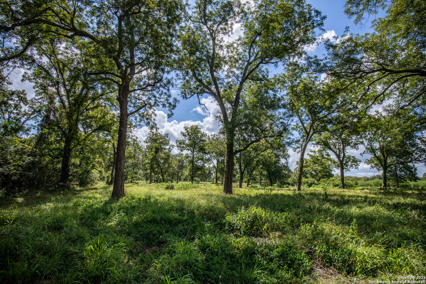000 Fm 766, Cuero, TX, 77954 | 1874979 | Realty Texas LLC