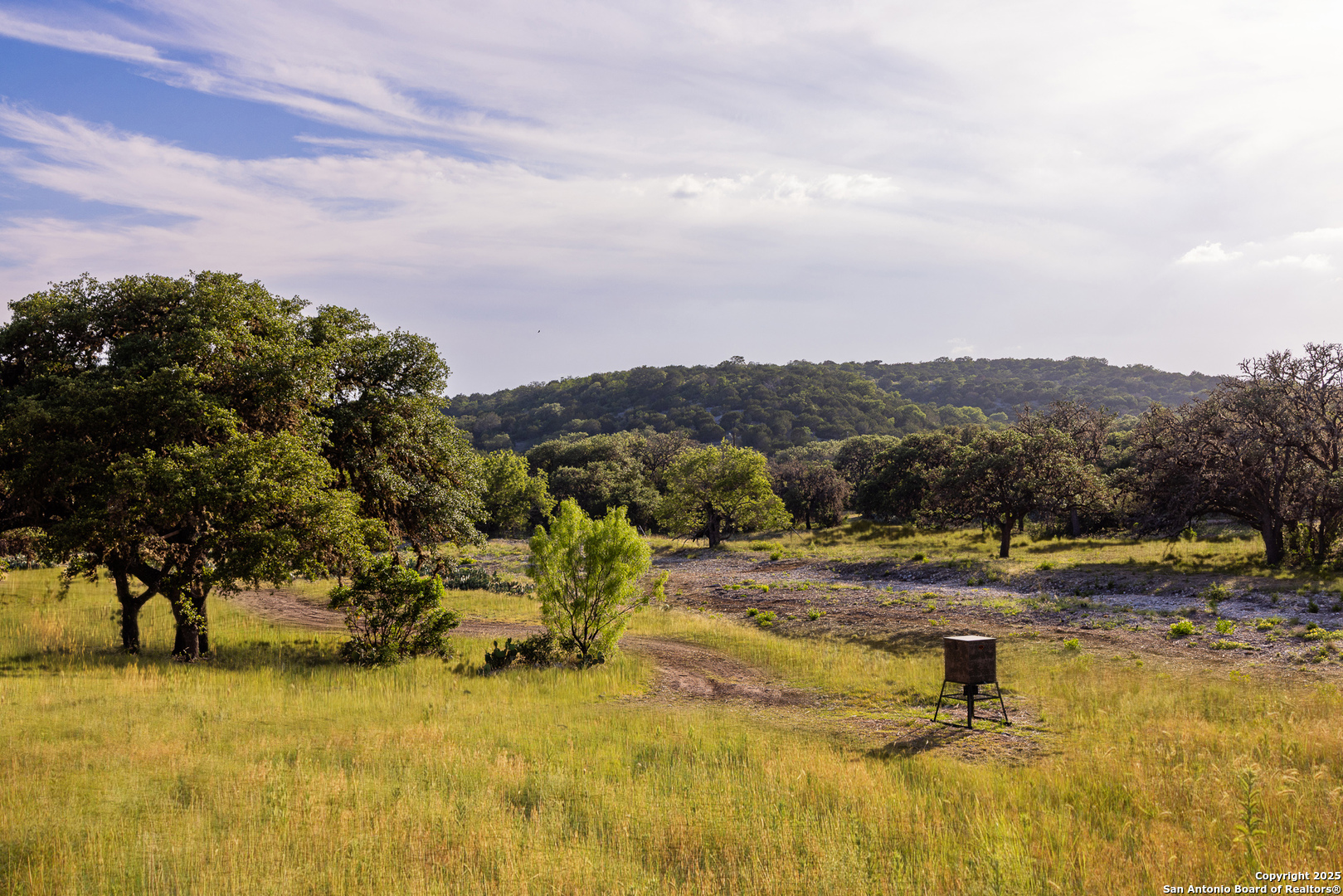14910 Bullhead Rd, Rocksprings, TX, 78880 | 1876630 | Realty Texas LLC