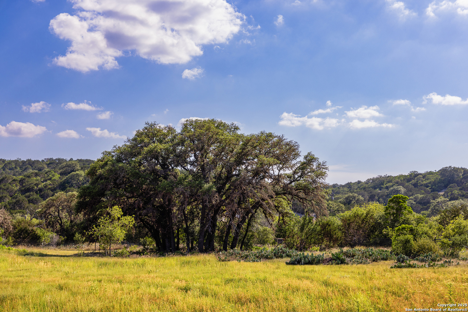 14910 Bullhead Rd, Rocksprings, TX, 78880 | 1876630 | Realty Texas LLC