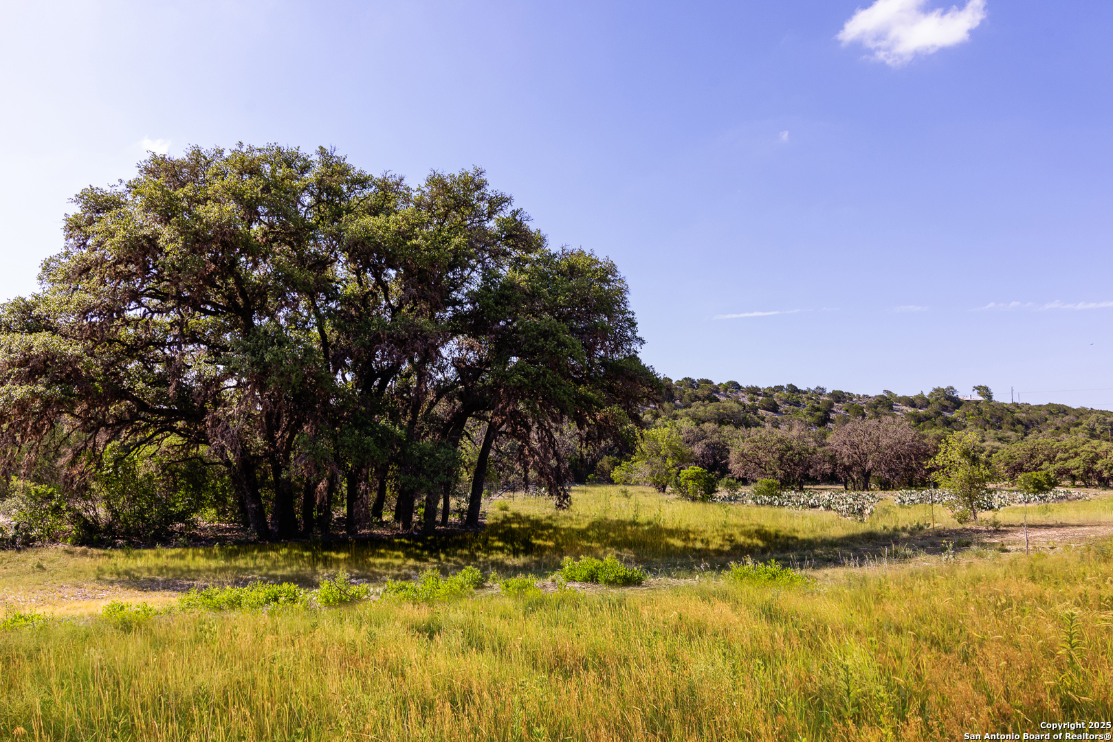 14910 Bullhead Rd, Rocksprings, TX, 78880 | 1876630 | Realty Texas LLC
