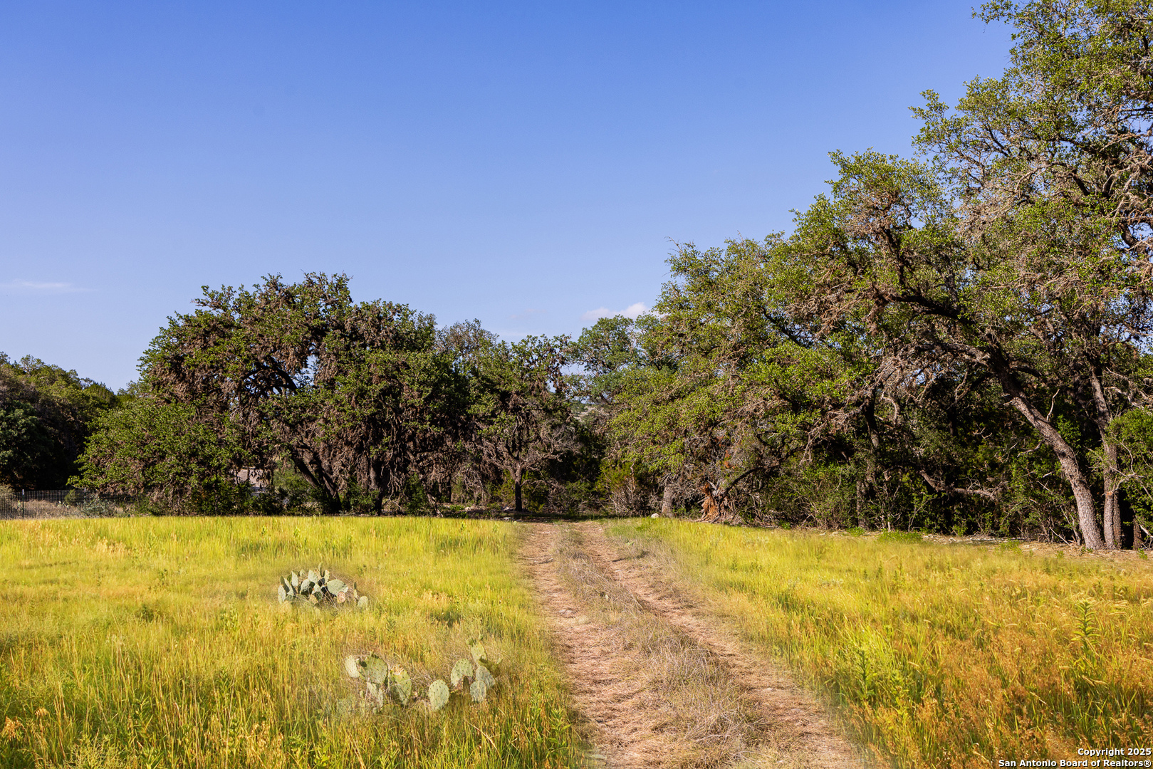 14910 Bullhead Rd, Rocksprings, TX, 78880 | 1876630 | Realty Texas LLC