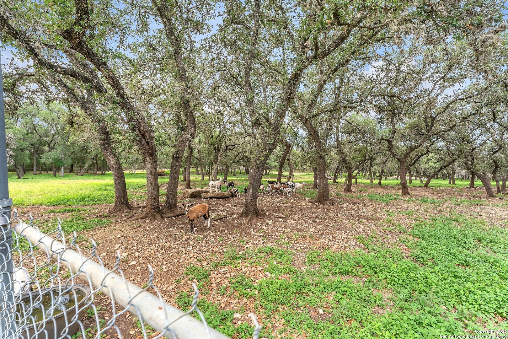 11650 Sunset Ranch, Helotes, TX, 78023 | 1877043 | Realty Texas LLC