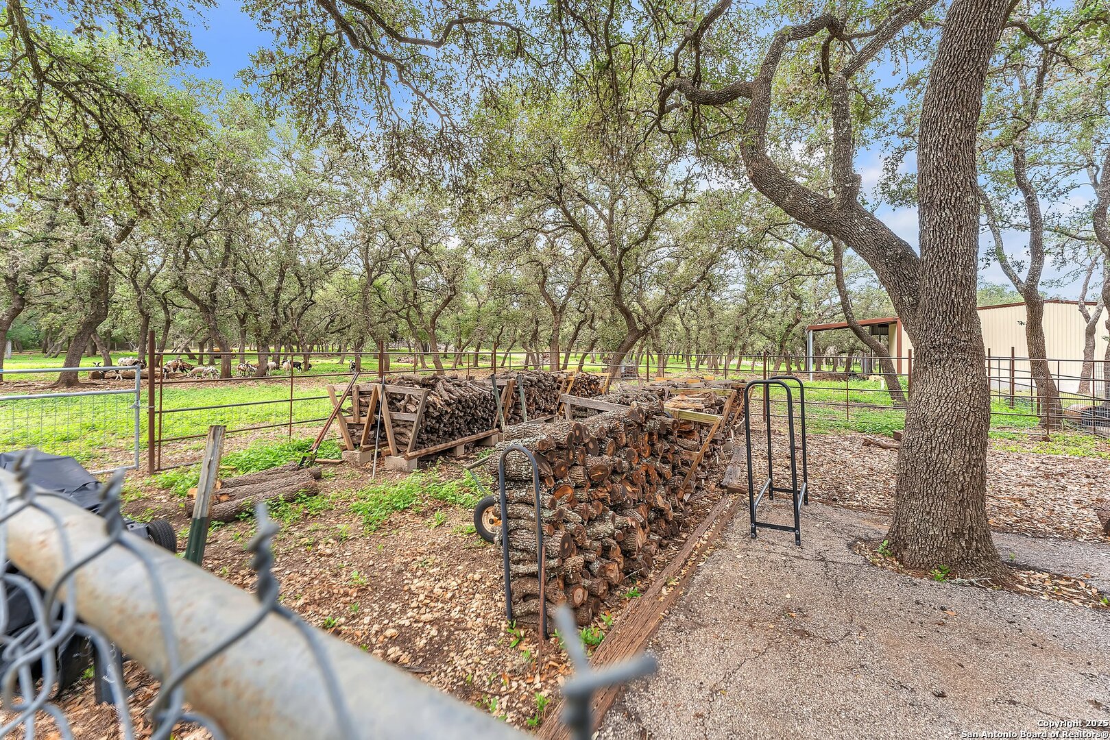 11650 Sunset Ranch, Helotes, TX, 78023 | 1877043 | Realty Texas LLC