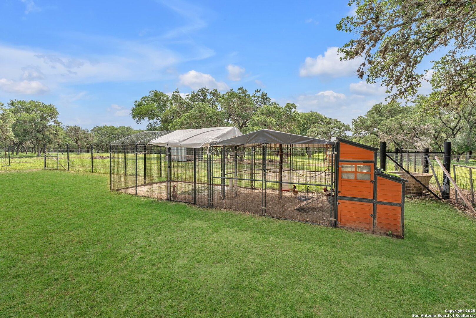 11650 Sunset Ranch, Helotes, TX, 78023 | 1877043 | Realty Texas LLC