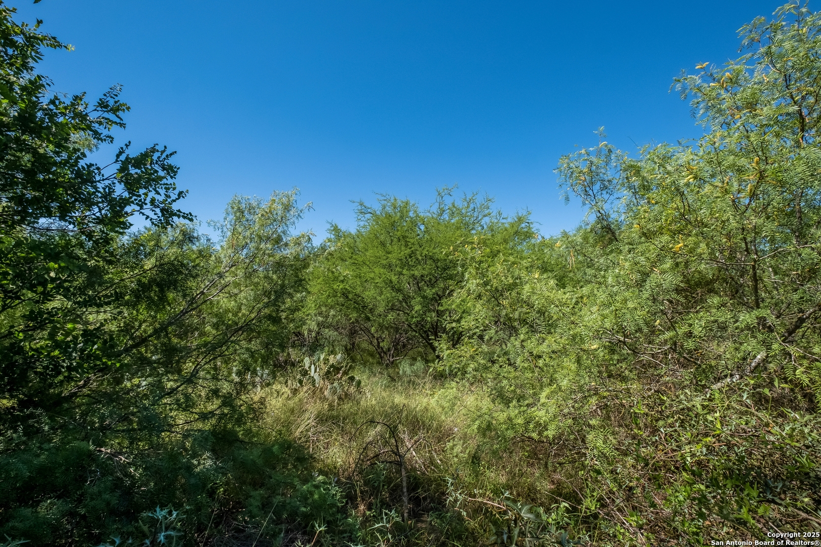 11922 Briarton Wls, SANANTONIO, TX, 78254 | 1876988 | Realty Texas LLC