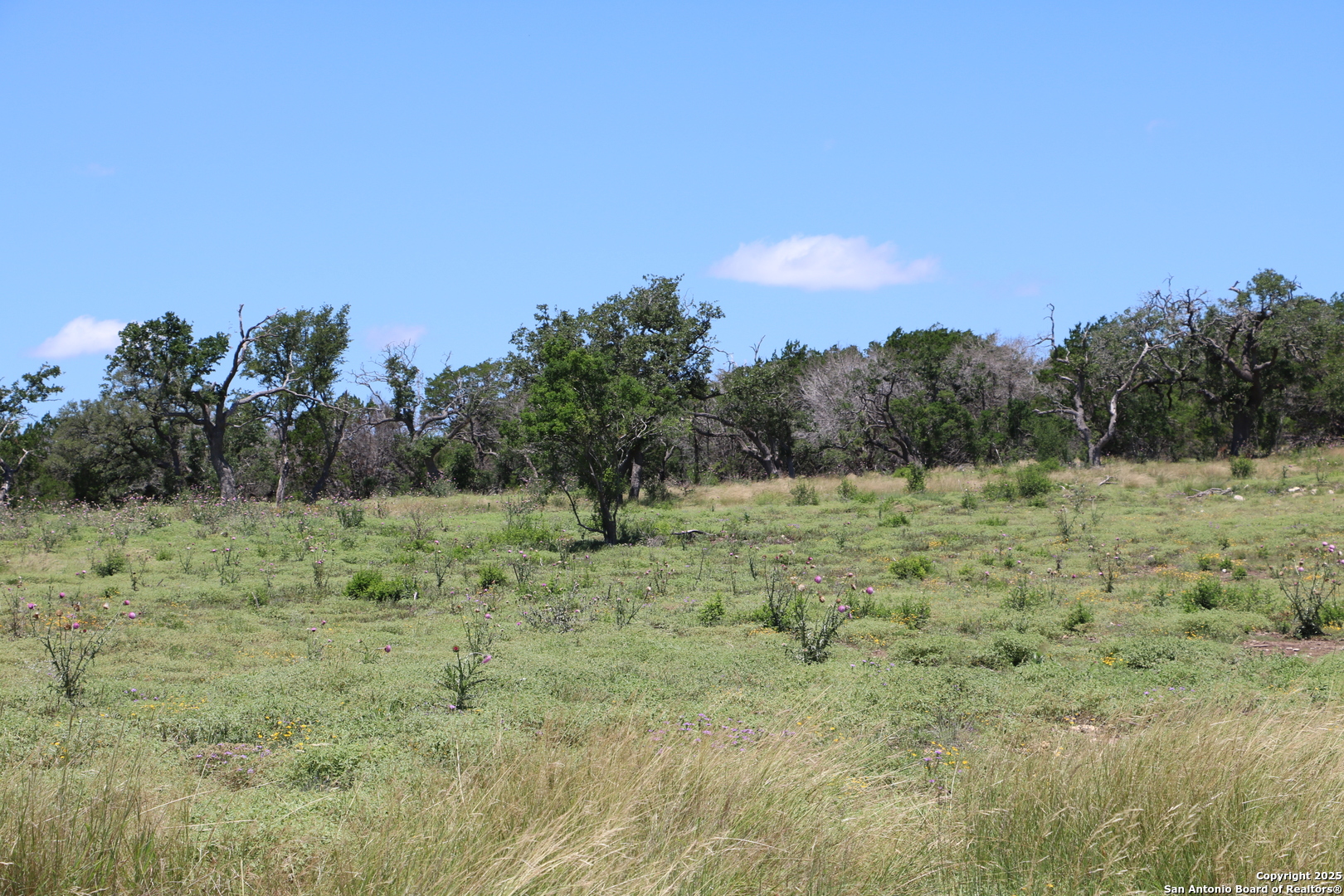 25 Seep Springs, Camp Verde, TX, 78010 | 1877820 | Realty Texas LLC