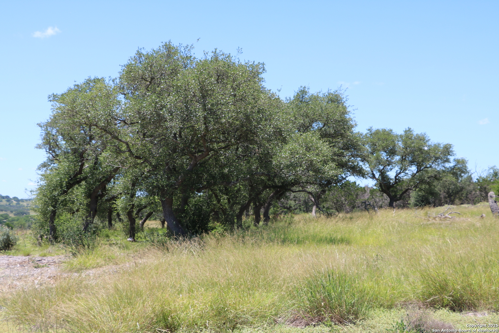 25 Seep Springs, Camp Verde, TX, 78010 | 1877820 | Realty Texas LLC
